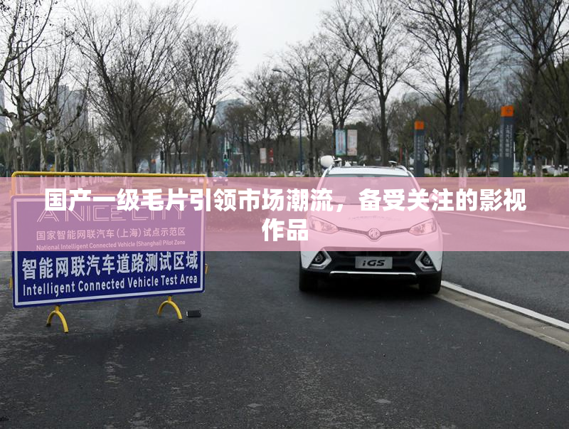 国产一级毛片引领市场潮流，备受关注的影视作品