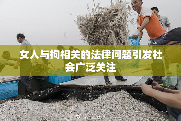 女人与拘相关的法律问题引发社会广泛关注