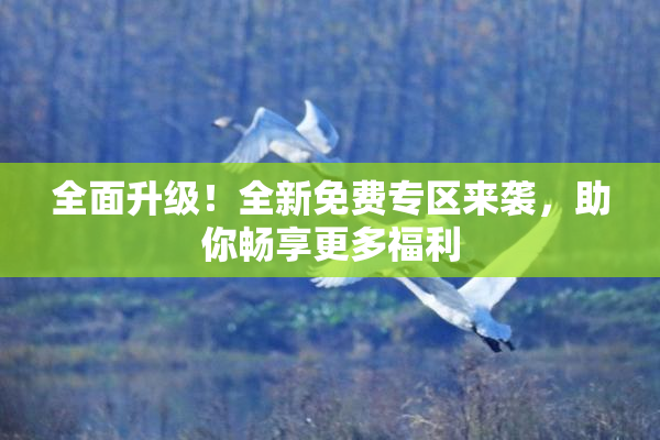 全面升级！全新免费专区来袭，助你畅享更多福利