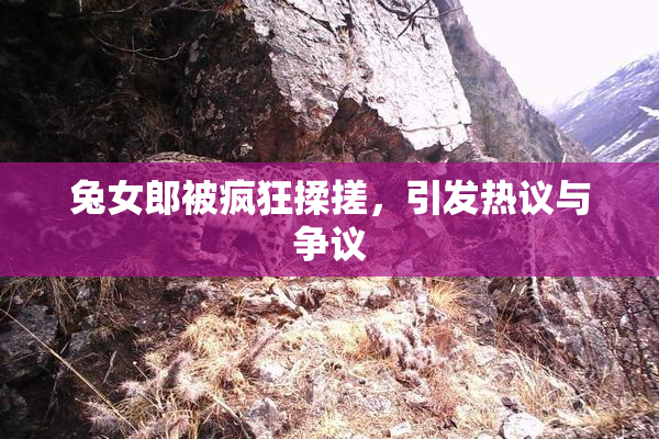 兔女郎被疯狂揉搓，引发热议与争议
