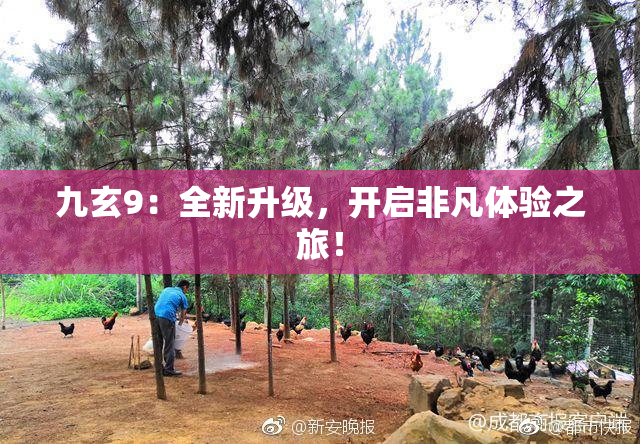 九玄9：全新升级，开启非凡体验之旅！