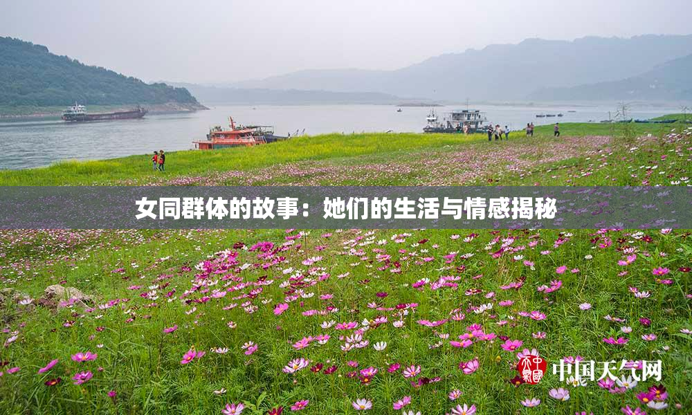 女同群体的故事：她们的生活与情感揭秘