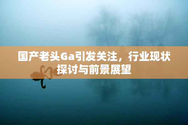 国产老头Ga引发关注，行业现状探讨与前景展望