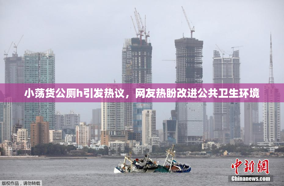 小荡货公厕h引发热议，网友热盼改进公共卫生环境