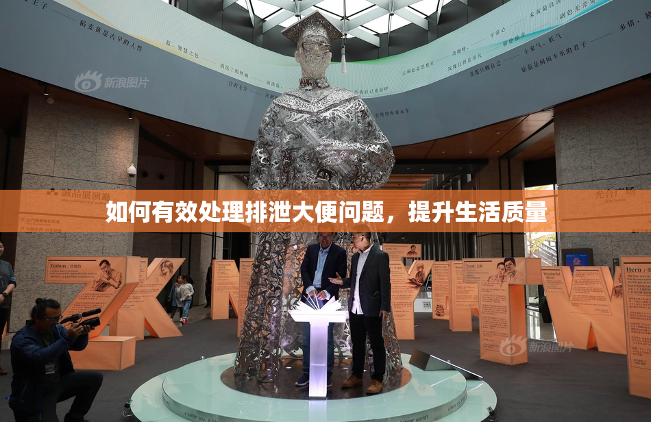 如何有效处理排泄大便问题，提升生活质量