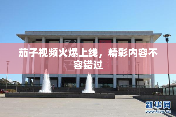茄子视频火爆上线，精彩内容不容错过