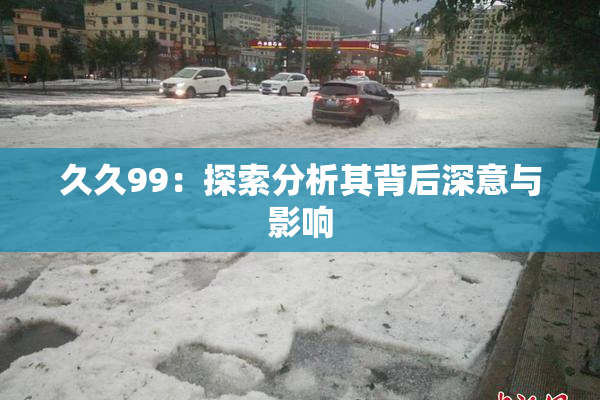 久久99：探索分析其背后深意与影响