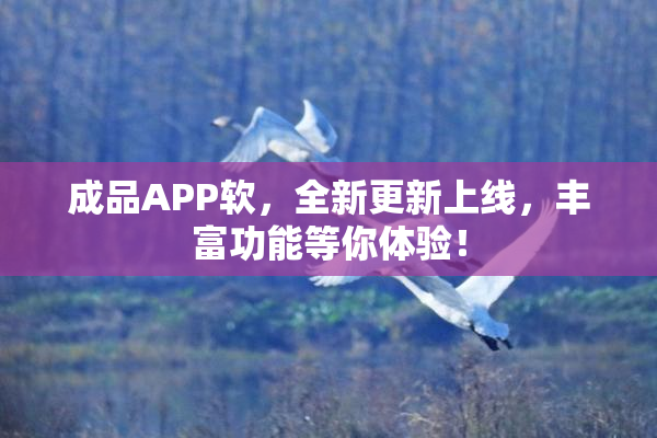 成品APP软，全新更新上线，丰富功能等你体验！