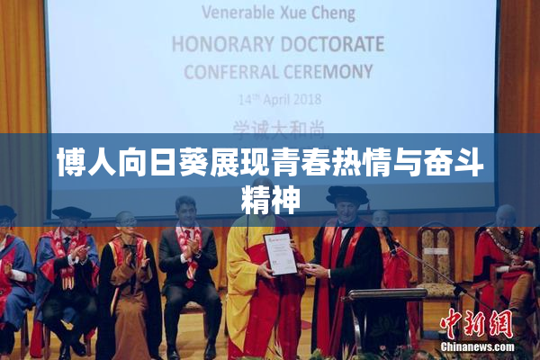 博人向日葵展现青春热情与奋斗精神