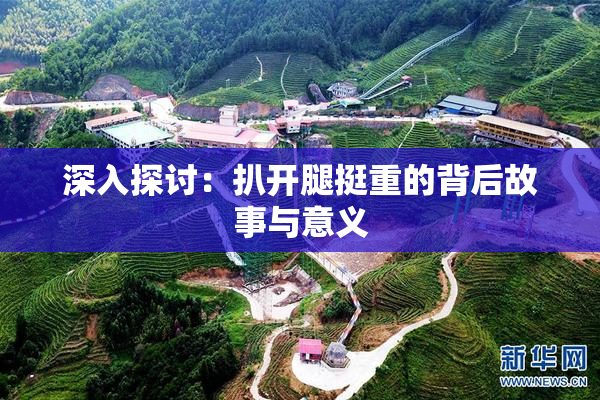 深入探讨：扒开腿挺重的背后故事与意义