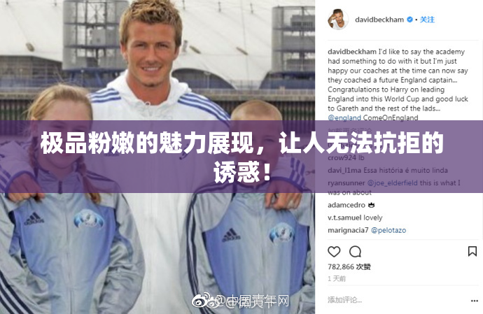 极品粉嫩的魅力展现，让人无法抗拒的诱惑！