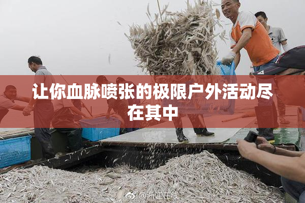 让你血脉喷张的极限户外活动尽在其中