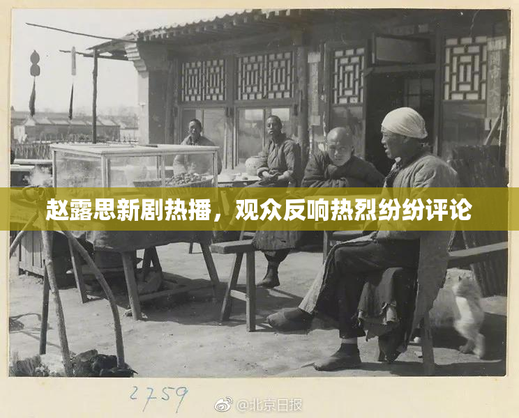 赵露思新剧热播，观众反响热烈纷纷评论