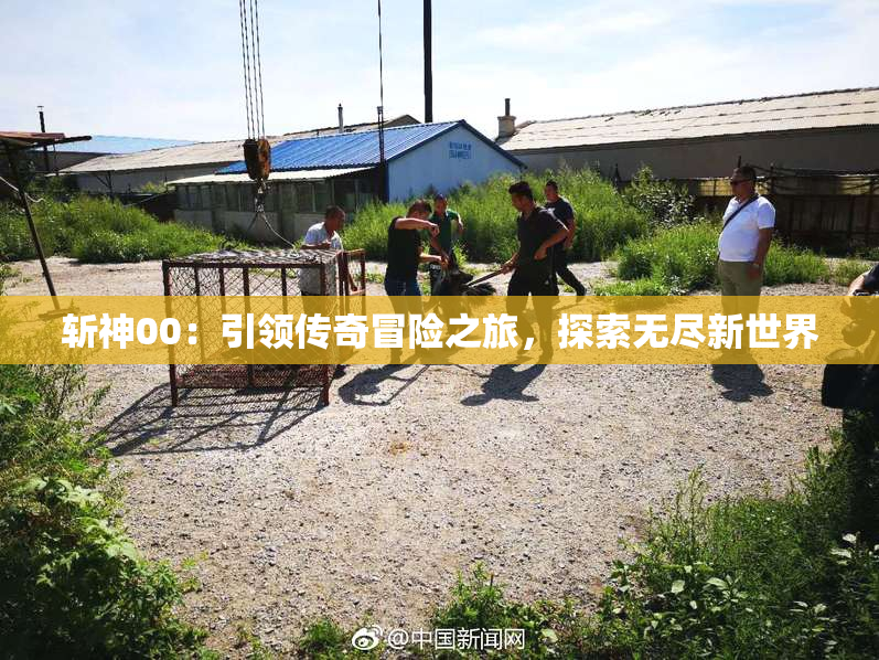 斩神00：引领传奇冒险之旅，探索无尽新世界