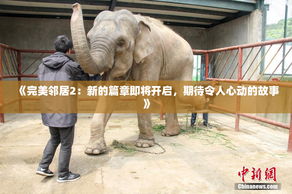 《完美邻居2：新的篇章即将开启，期待令人心动的故事》