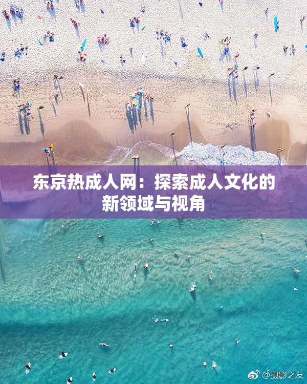 东京热成人网：探索成人文化的新领域与视角