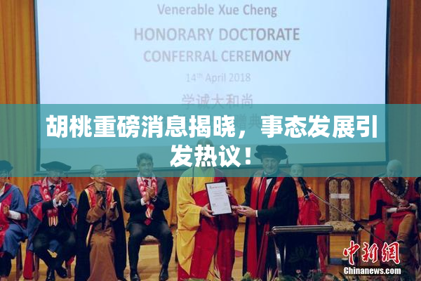 胡桃重磅消息揭晓，事态发展引发热议！