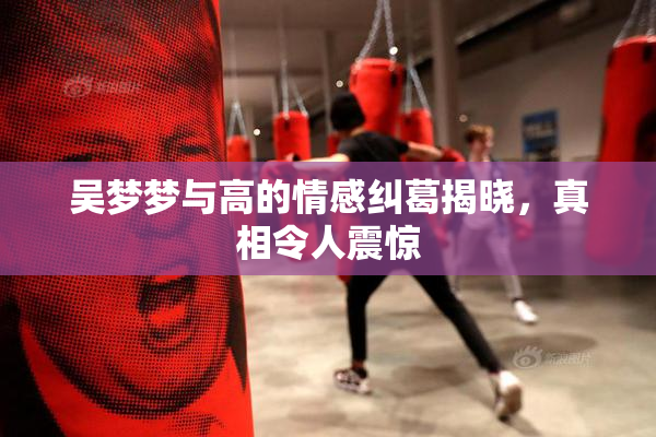 吴梦梦与高的情感纠葛揭晓，真相令人震惊