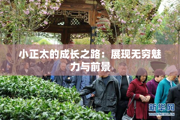 小正太的成长之路：展现无穷魅力与前景