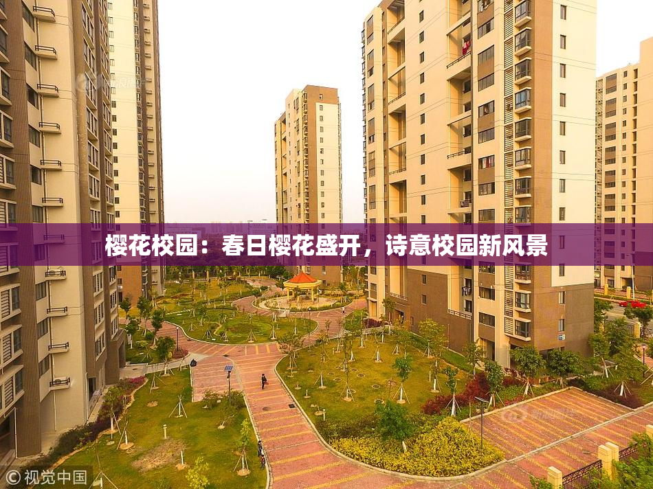 樱花校园：春日樱花盛开，诗意校园新风景