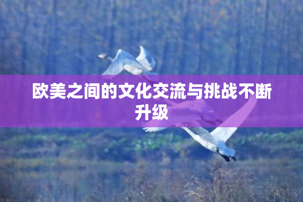 欧美之间的文化交流与挑战不断升级