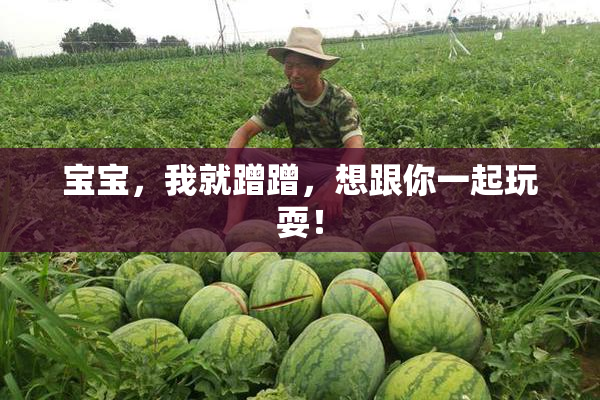 宝宝，我就蹭蹭，想跟你一起玩耍！