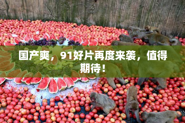 国产爽，91好片再度来袭，值得期待！