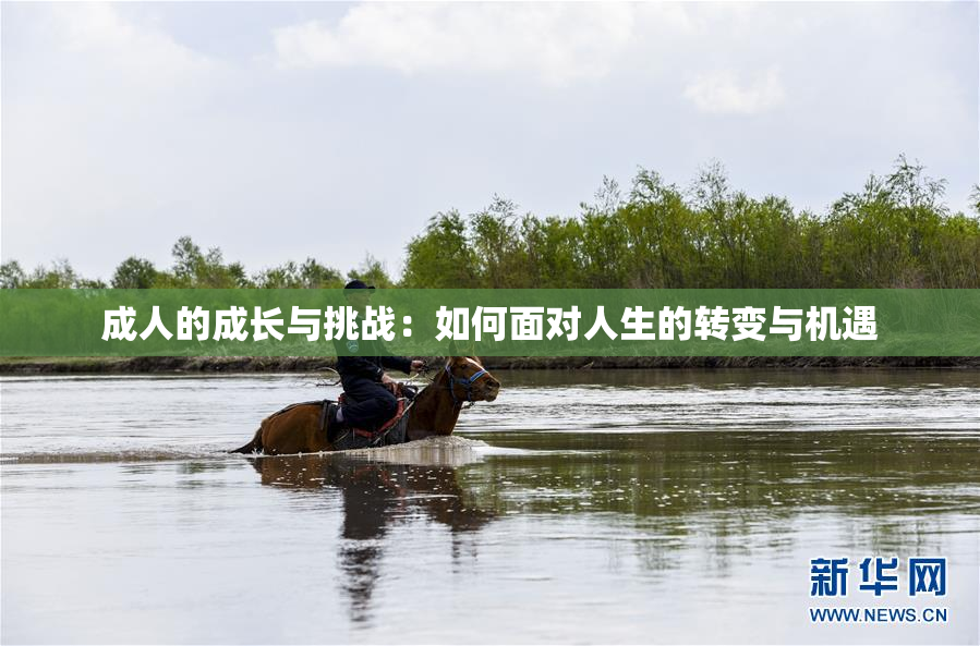 成人的成长与挑战：如何面对人生的转变与机遇
