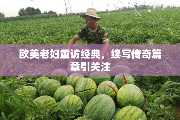 欧美老妇重访经典，续写传奇篇章引关注
