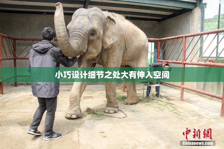 小巧设计细节之处大有伸入空间