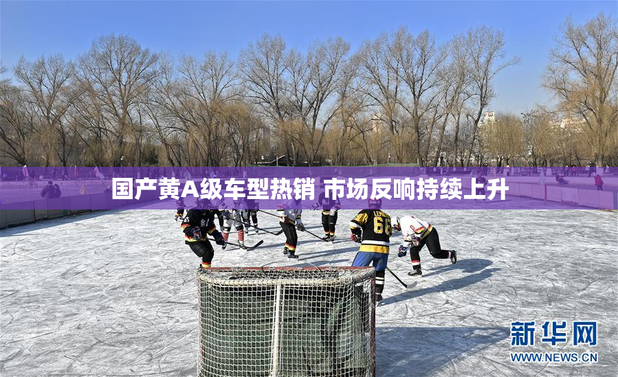 国产黄A级车型热销 市场反响持续上升