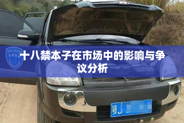 十八禁本子在市场中的影响与争议分析