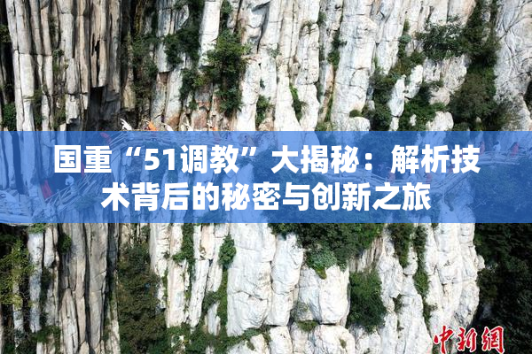 国重“51调教”大揭秘：解析技术背后的秘密与创新之旅