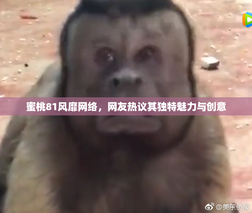 蜜桃81风靡网络，网友热议其独特魅力与创意