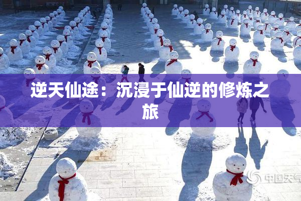 逆天仙途：沉浸于仙逆的修炼之旅