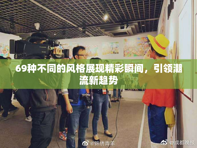 69种不同的风格展现精彩瞬间，引领潮流新趋势
