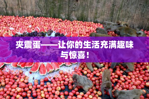 夹震蛋——让你的生活充满趣味与惊喜！