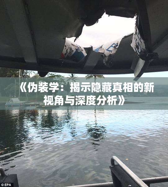 《伪装学：揭示隐藏真相的新视角与深度分析》