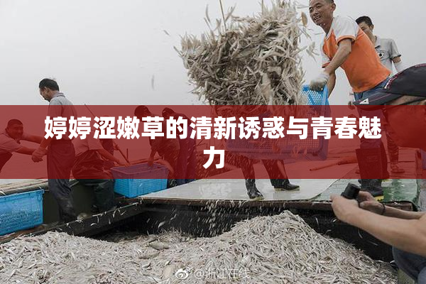 婷婷涩嫩草的清新诱惑与青春魅力