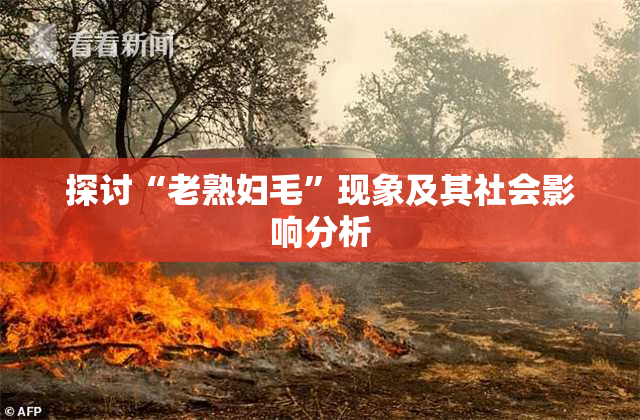 探讨“老熟妇毛”现象及其社会影响分析