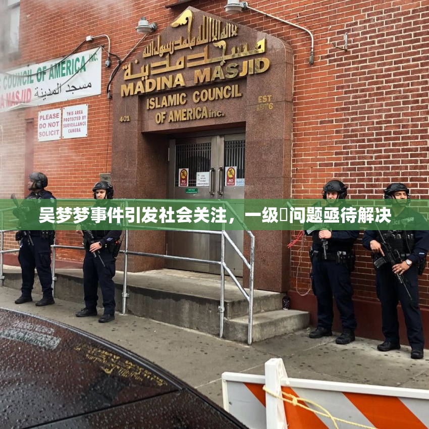 吴梦梦事件引发社会关注，一级婬问题亟待解决