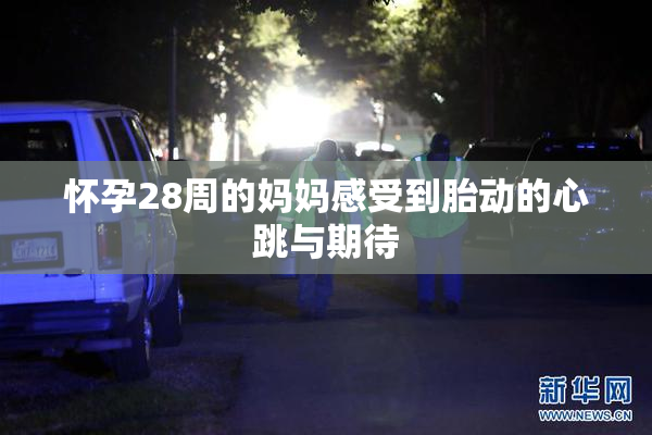 怀孕28周的妈妈感受到胎动的心跳与期待