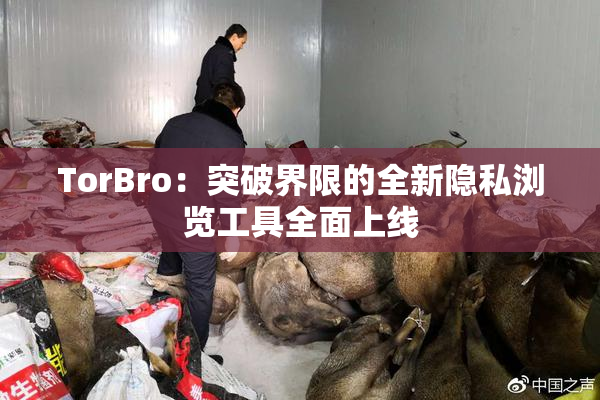 TorBro：突破界限的全新隐私浏览工具全面上线