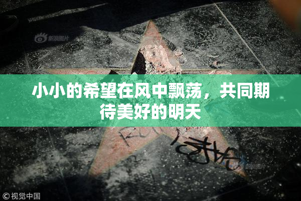 小小的希望在风中飘荡，共同期待美好的明天