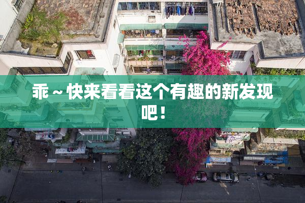 乖～快来看看这个有趣的新发现吧！