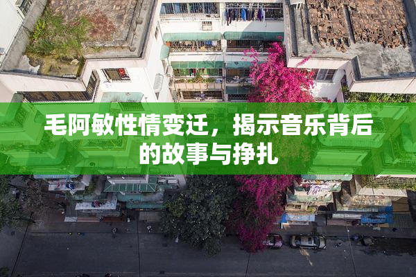 毛阿敏性情变迁，揭示音乐背后的故事与挣扎