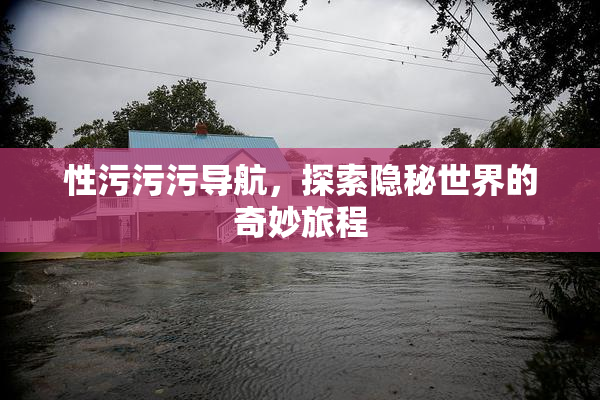 性污污污导航，探索隐秘世界的奇妙旅程