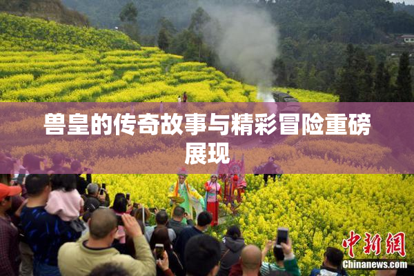 兽皇的传奇故事与精彩冒险重磅展现