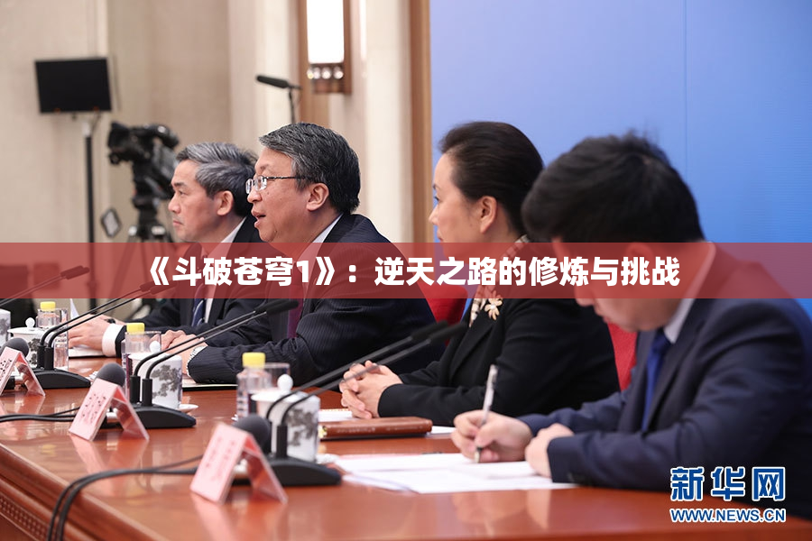 《斗破苍穹1》：逆天之路的修炼与挑战