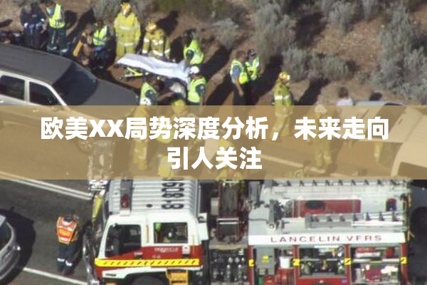 欧美XX局势深度分析，未来走向引人关注
